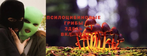 дмт Рославль