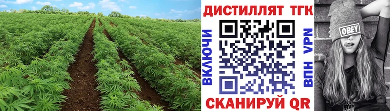 ТГК вейп с тгк  Суздаль 